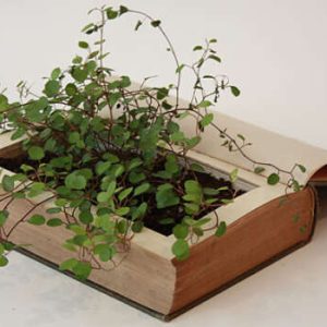book-planters